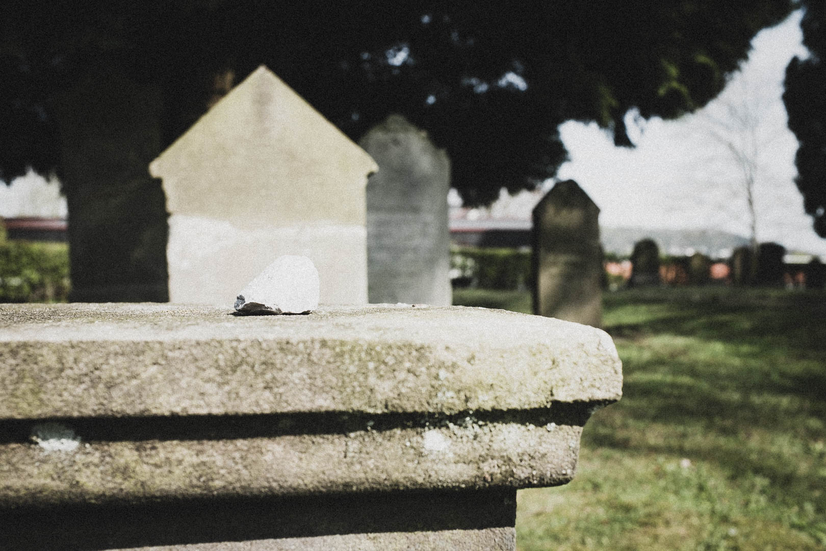 Bad Driburg, Jüdischer Friedhof